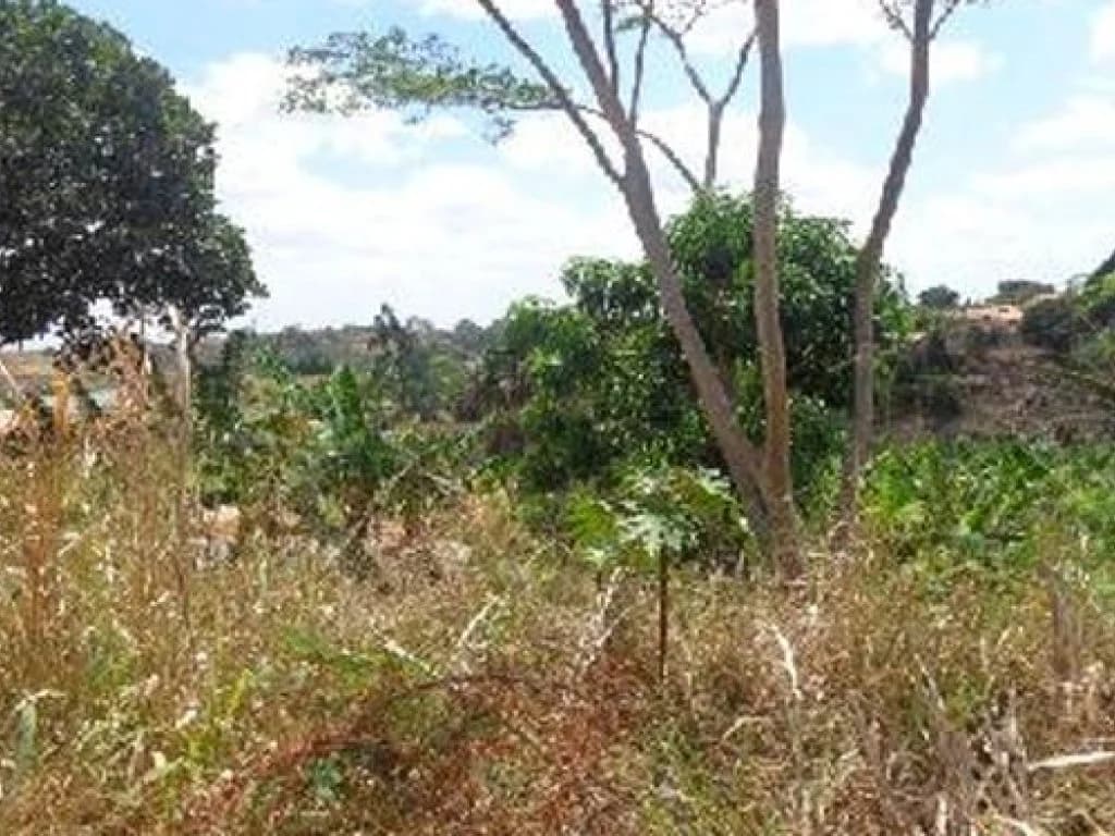 Foto 5 de 8: Terreno em leilão em Sítio Novo - MA, bairro Centro — Terreno 600 m² - Centro - Sítio Novo - MA