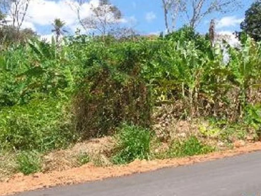 Foto 2 de 8: Terreno em leilão em Sítio Novo - MA, bairro Centro — Terreno 600 m² - Centro - Sítio Novo - MA