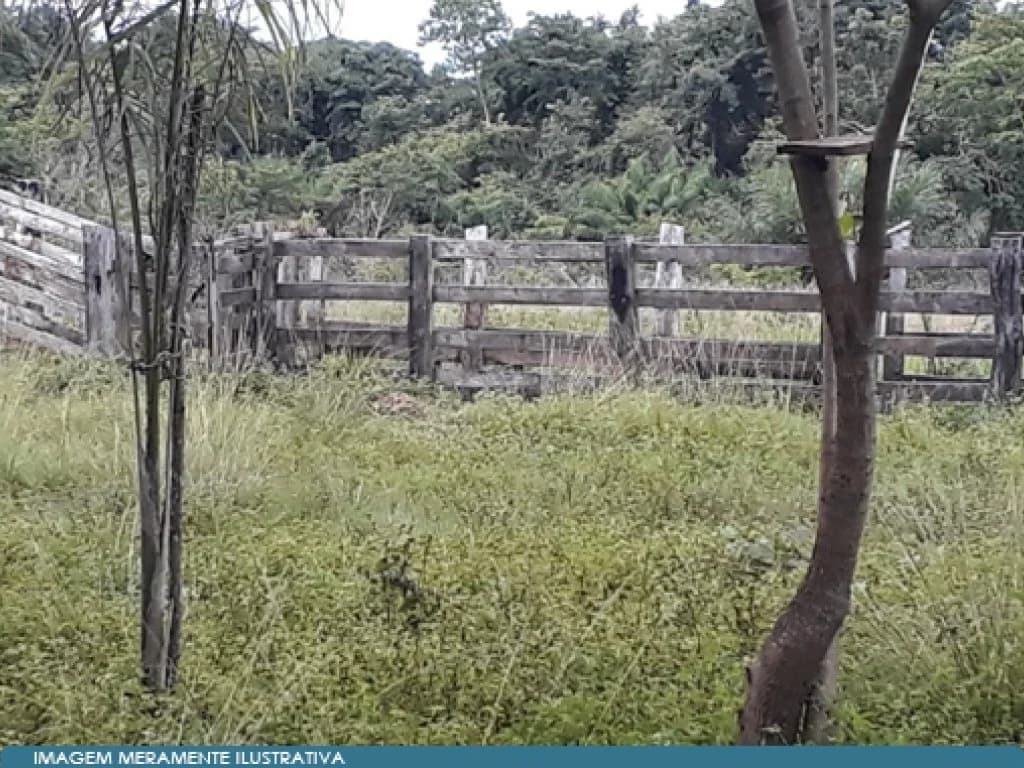 Foto 4 de 5: Area Rural em leilão em Araguatins - TO — Imóvel Rural 37 ha (Chácara) - Araguatins - TO