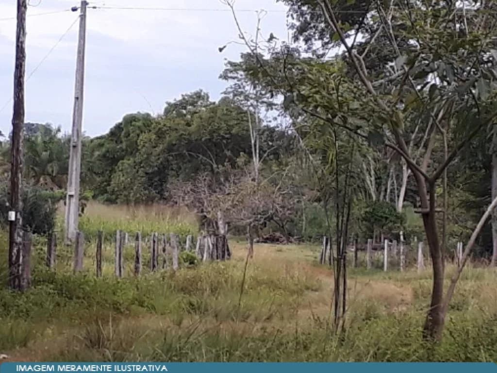 Foto 2 de 5: Area Rural em leilão em Araguatins - TO — Imóvel Rural 37 ha (Chácara) - Araguatins - TO