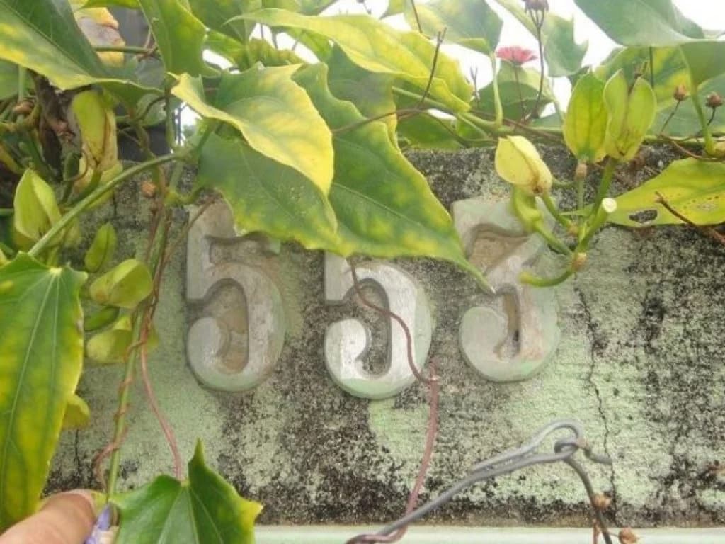 Foto 25 de 68: Casa em leilão em Esmeraldas - MG, bairro Jardim das Oliveiras — Casa 359 m² - Jardim das Oliveiras - Esmeraldas - MG