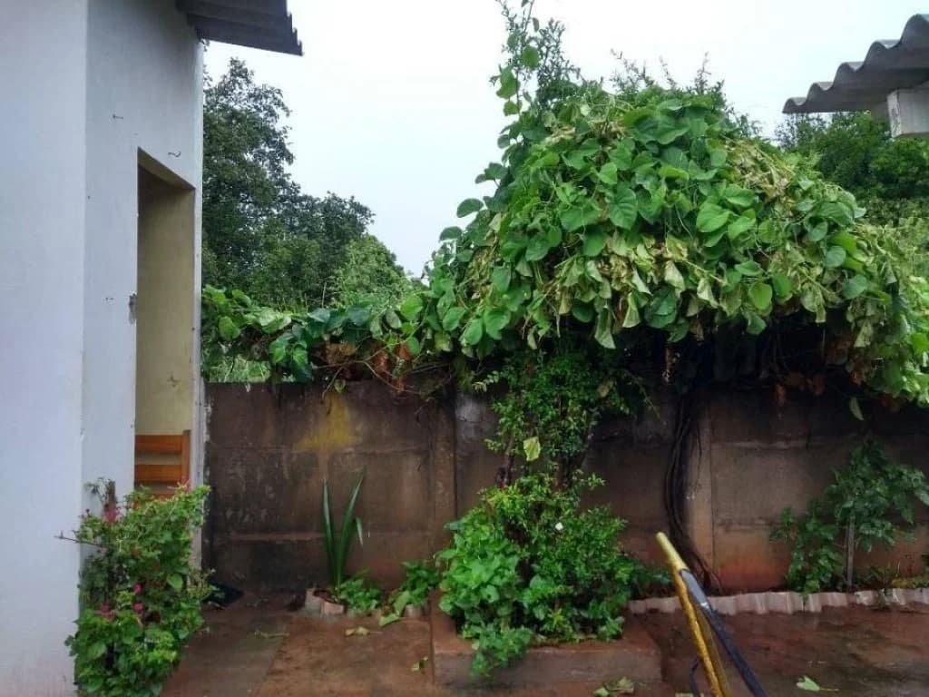 Foto 5 de 21: Casa em leilão em Promissão - SP, bairro Centro — Casa 128 m² - Centro - Promissão - SP