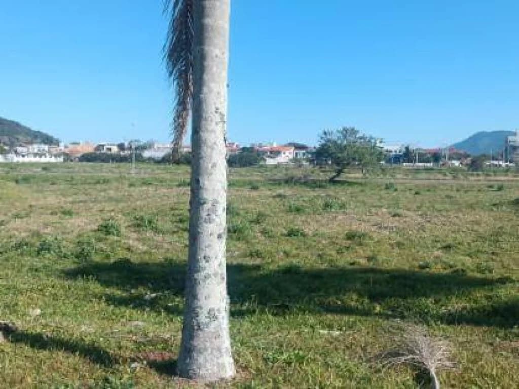 Foto 13 de 16: Terreno em leilão em Florianópolis - SC, bairro Pântano do Sul — Terreno em Condomínio 390 m² (Área A-11) - Pântano do Sul - Florianópolis - SC