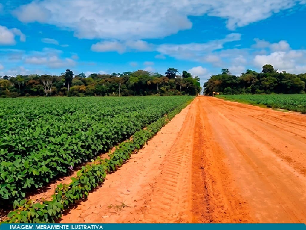Foto 7 de 10: Area Rural em leilão em Nova Mutum - MT — Imóvel Rural 9.871 ha (Esperança) - Nova Mutum - MT