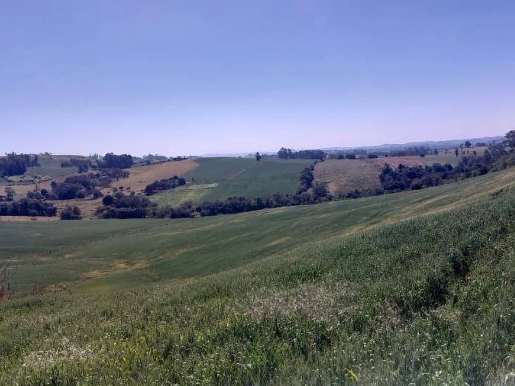 Foto 1 de 4: Area Rural em leilão em Nova Tebas - PR — Imóvel Rural com Área de 72.600 m² (Sítio Alvorada - Gleba Alvorada) - Nova Tebas - PR