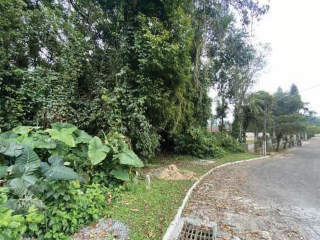 Foto 6 de 7: Terreno em leilão em Blumenau - SC, bairro Itoupava Seca — Terreno 6.692 m² - Itoupava Seca - Blumenau - SC