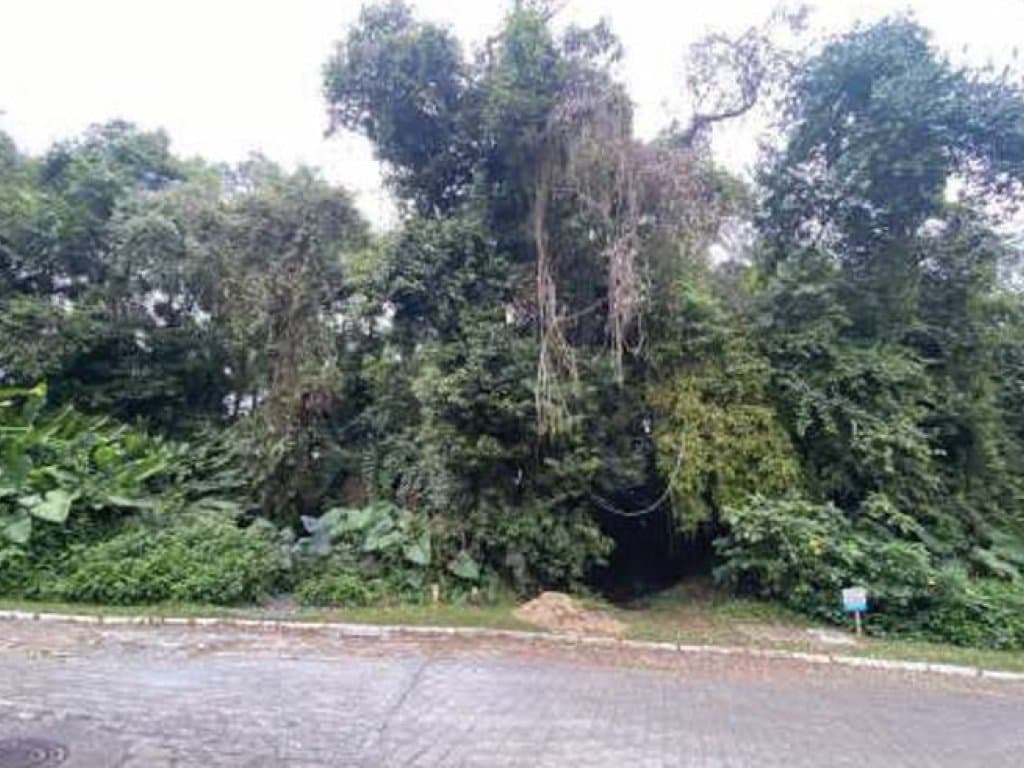 Foto 3 de 7: Terreno em leilão em Blumenau - SC, bairro Itoupava Seca — Terreno 6.692 m² - Itoupava Seca - Blumenau - SC