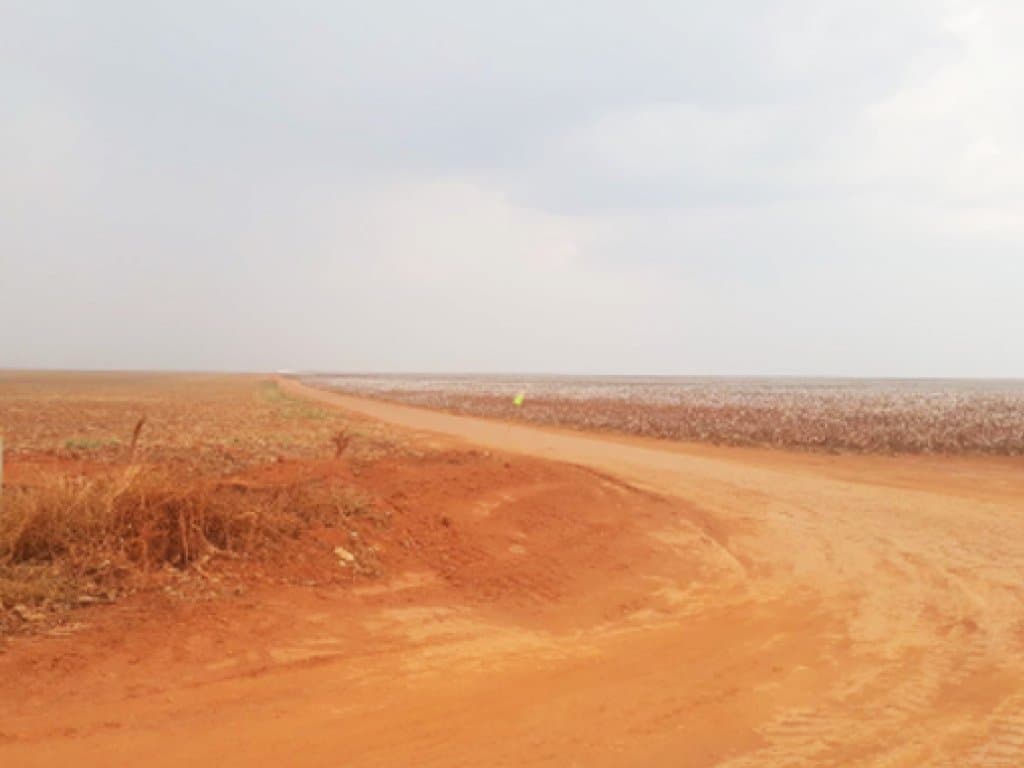 Foto 3 de 3: Area Rural em leilão em Campos De Júlio - MT — Direitos sobre Parte Ideal (50%) de Área Rural 195 ha - Fazenda Sabiá - Campos de Júlio - MT