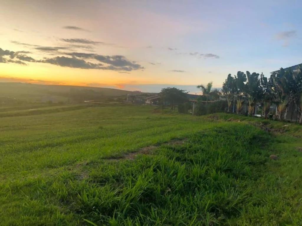 Foto 3 de 8: Terreno em leilão em Sertanópolis - PR — Lote, Padrão, 0 Vaga(S) de Garagem