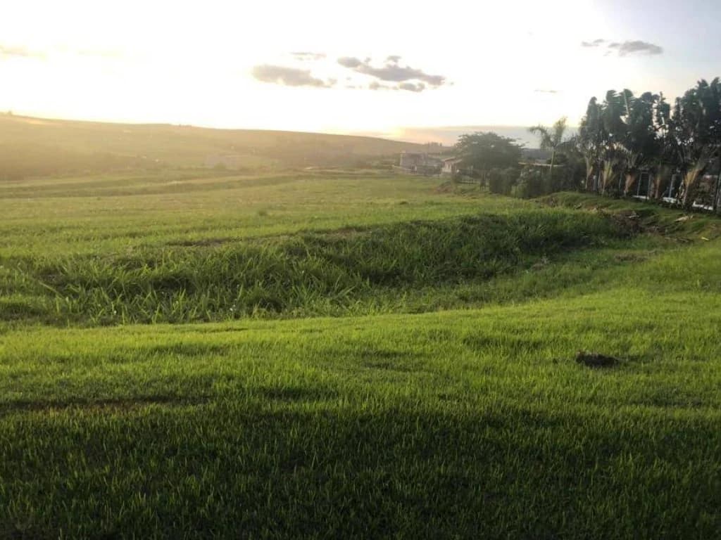 Foto 4 de 8: Terreno em leilão em Sertanópolis - PR — Lote, Padrão, 0 Vaga(S) de Garagem