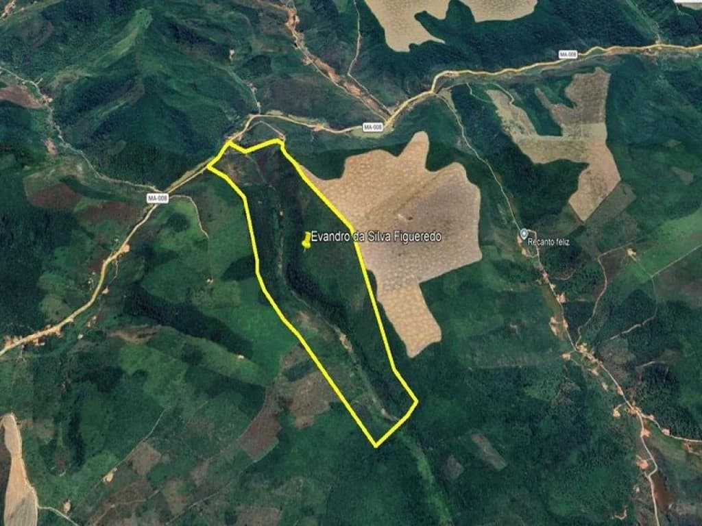 Area Rural em leilão em Marajá Do Sena - MA, bairro Zona Rural — Área Rural 144 ha - Marajá do Sena-MA - Fazenda Pedrosa - Gleba Marupi - Zona Rural