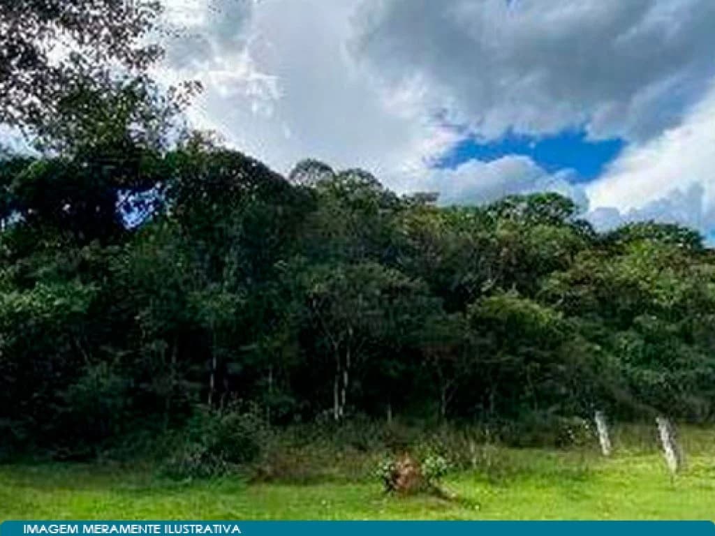 Foto 2 de 4: Area Rural em leilão em Pindamonhangaba - SP, bairro Ribeirão Grande — Área Rural com 20.400 m² - Ribeirão Grande - Pindamonhangaba - SP