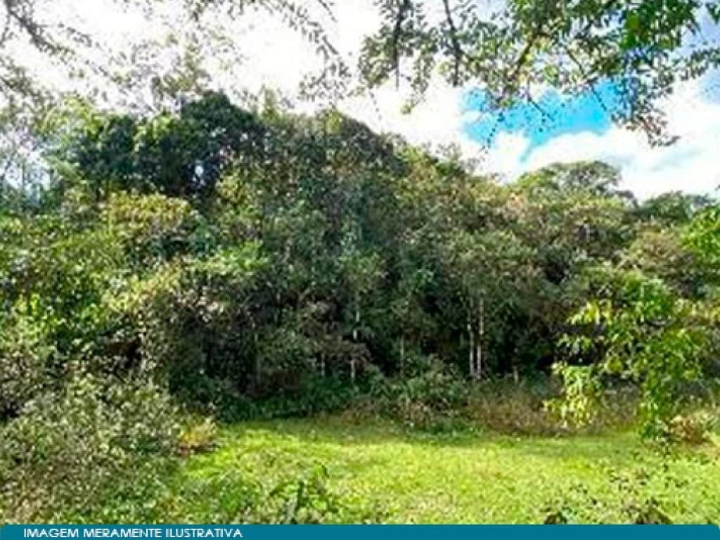 Foto 3 de 4: Area Rural em leilão em Pindamonhangaba - SP, bairro Ribeirão Grande — Área Rural com 20.400 m² - Ribeirão Grande - Pindamonhangaba - SP