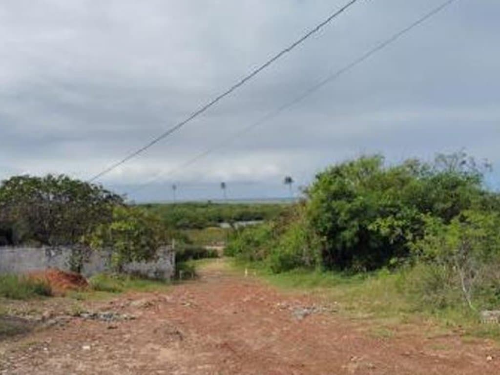 Foto 9 de 20: Terreno em leilão em Camaçari - BA — Área de 1.047.000 m² - Camaçari - BA