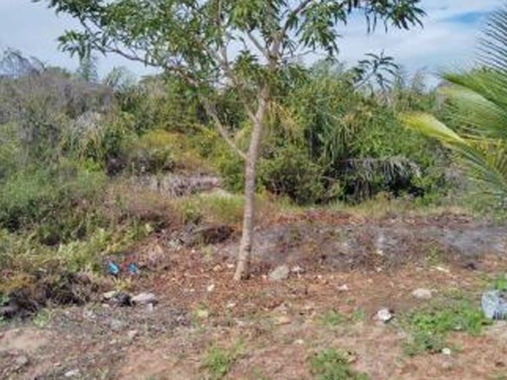 Foto 15 de 20: Terreno em leilão em Camaçari - BA — Área de 1.047.000 m² - Camaçari - BA