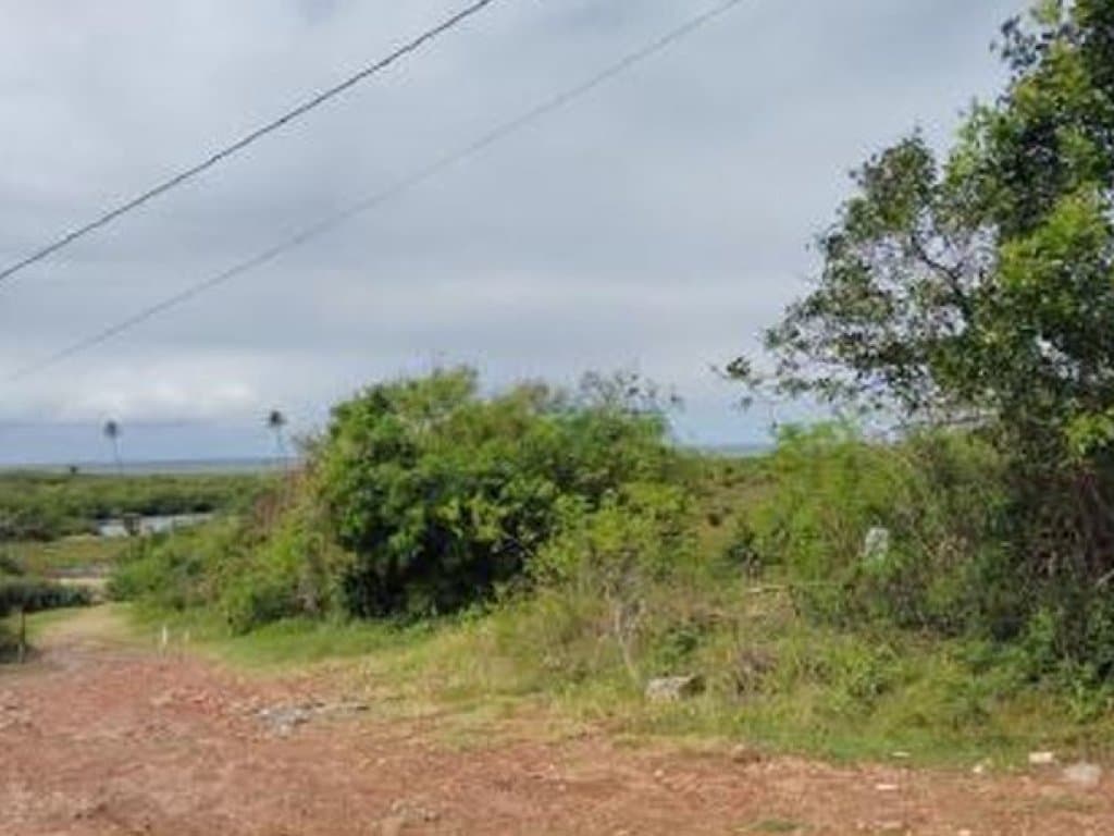 Foto 7 de 20: Terreno em leilão em Camaçari - BA — Área de 1.047.000 m² - Camaçari - BA