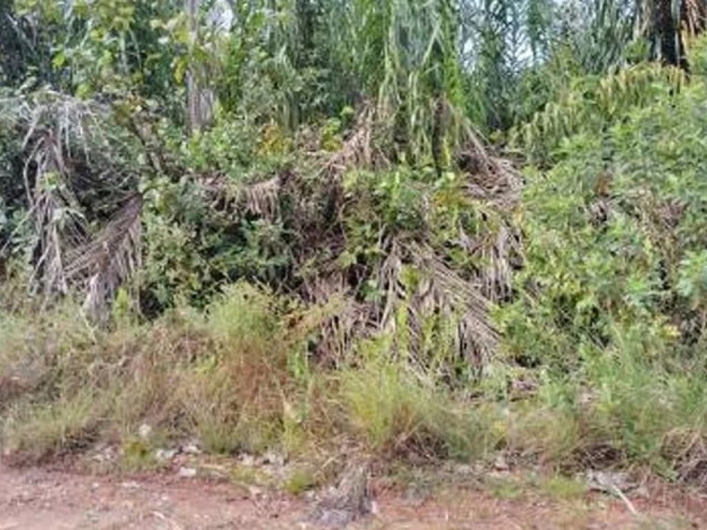 Foto 18 de 20: Terreno em leilão em Camaçari - BA — Área de 1.047.000 m² - Camaçari - BA