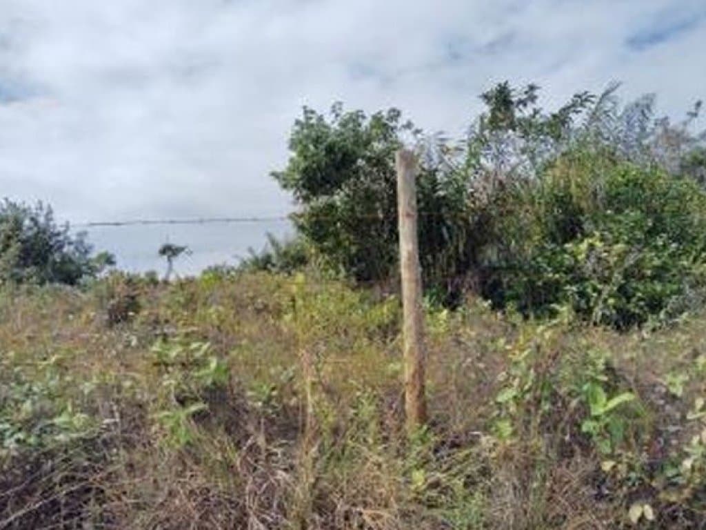 Foto 6 de 20: Terreno em leilão em Camaçari - BA — Área de 1.047.000 m² - Camaçari - BA