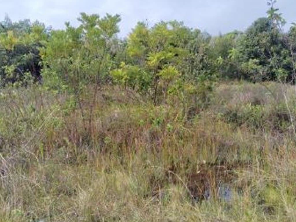 Foto 16 de 20: Terreno em leilão em Camaçari - BA — Área de 1.047.000 m² - Camaçari - BA
