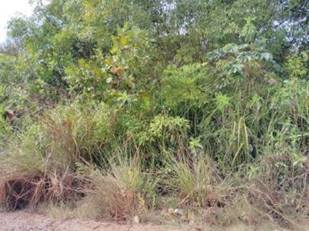 Foto 17 de 20: Terreno em leilão em Camaçari - BA — Área de 1.047.000 m² - Camaçari - BA