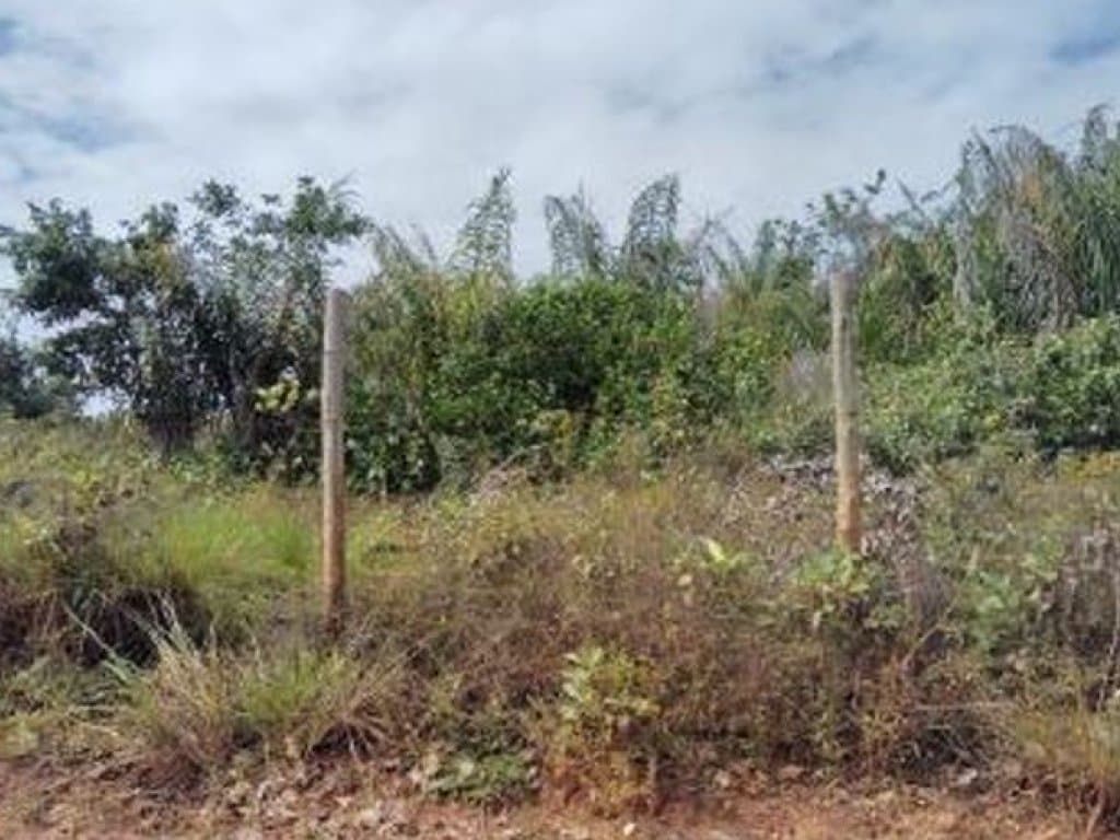 Foto 20 de 20: Terreno em leilão em Camaçari - BA — Área de 1.047.000 m² - Camaçari - BA