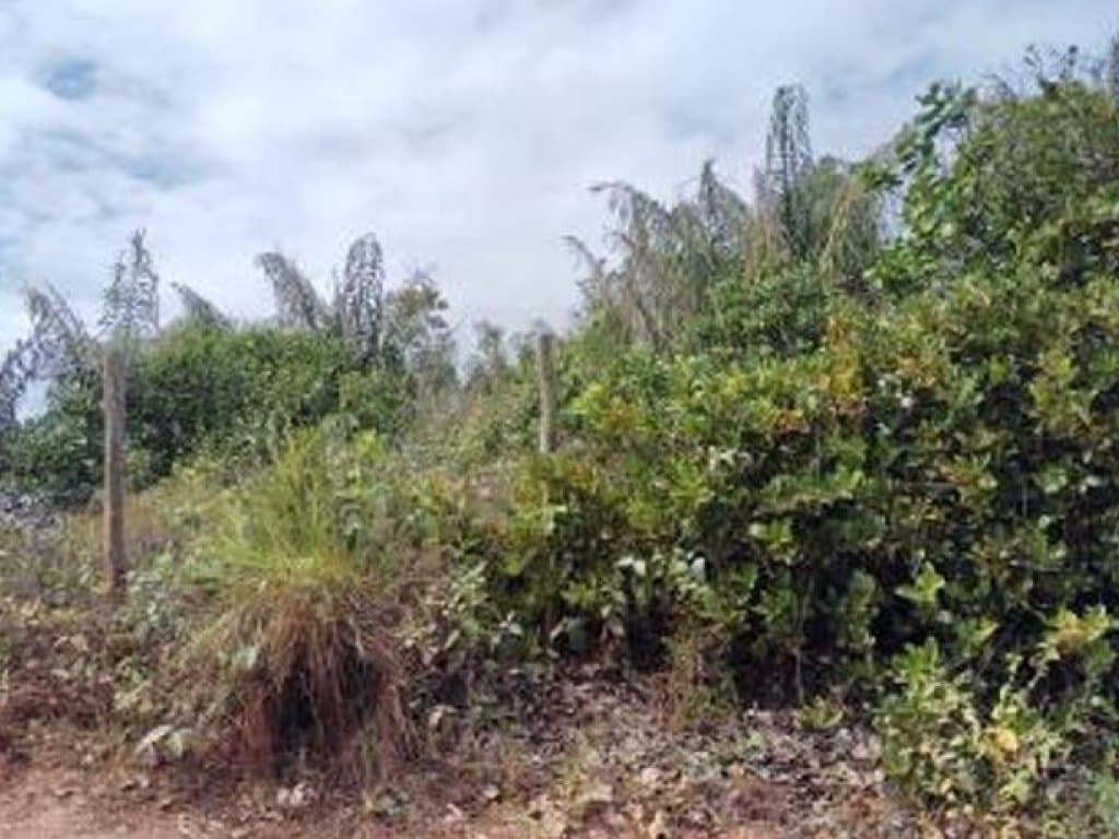 Foto 19 de 20: Terreno em leilão em Camaçari - BA — Área de 1.047.000 m² - Camaçari - BA