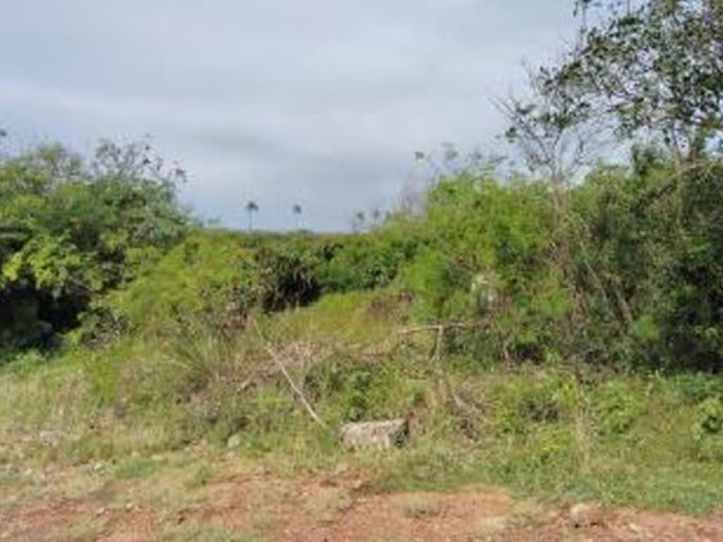 Foto 11 de 20: Terreno em leilão em Camaçari - BA — Área de 1.047.000 m² - Camaçari - BA