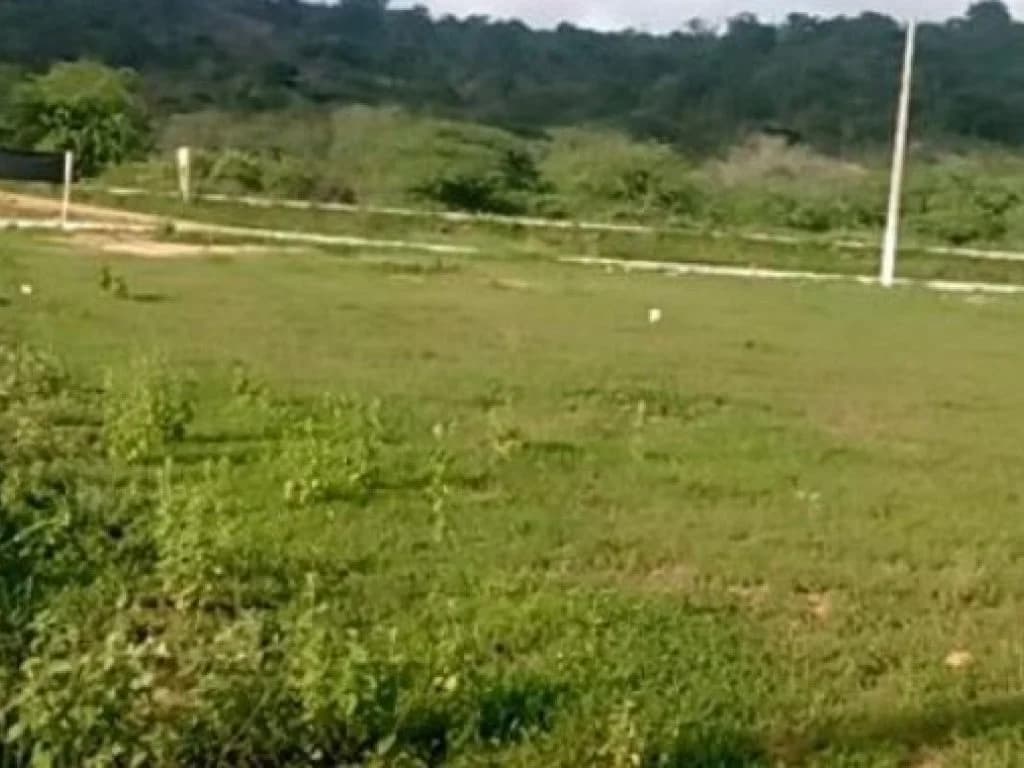 Foto 1 de 6: Terreno em leilão em Jataúba - PE, bairro Parque Continental — Área com 2.144 m² - Parque Continental - Jataúba - PE