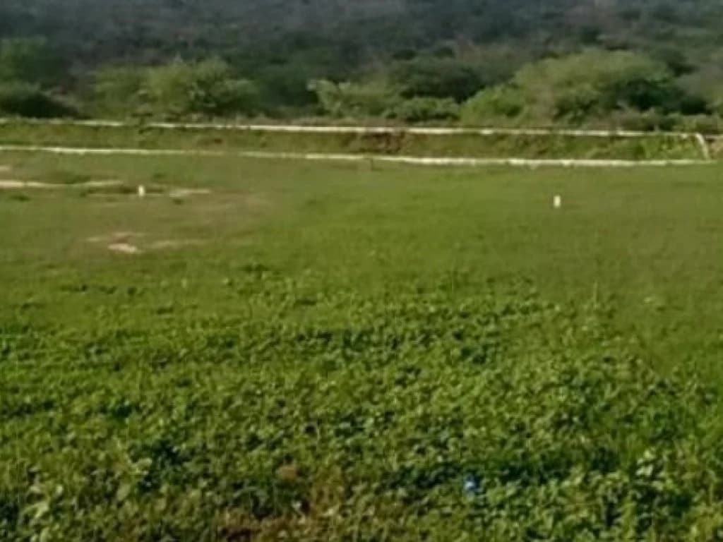 Foto 3 de 6: Terreno em leilão em Jataúba - PE, bairro Parque Continental — Área com 2.144 m² - Parque Continental - Jataúba - PE