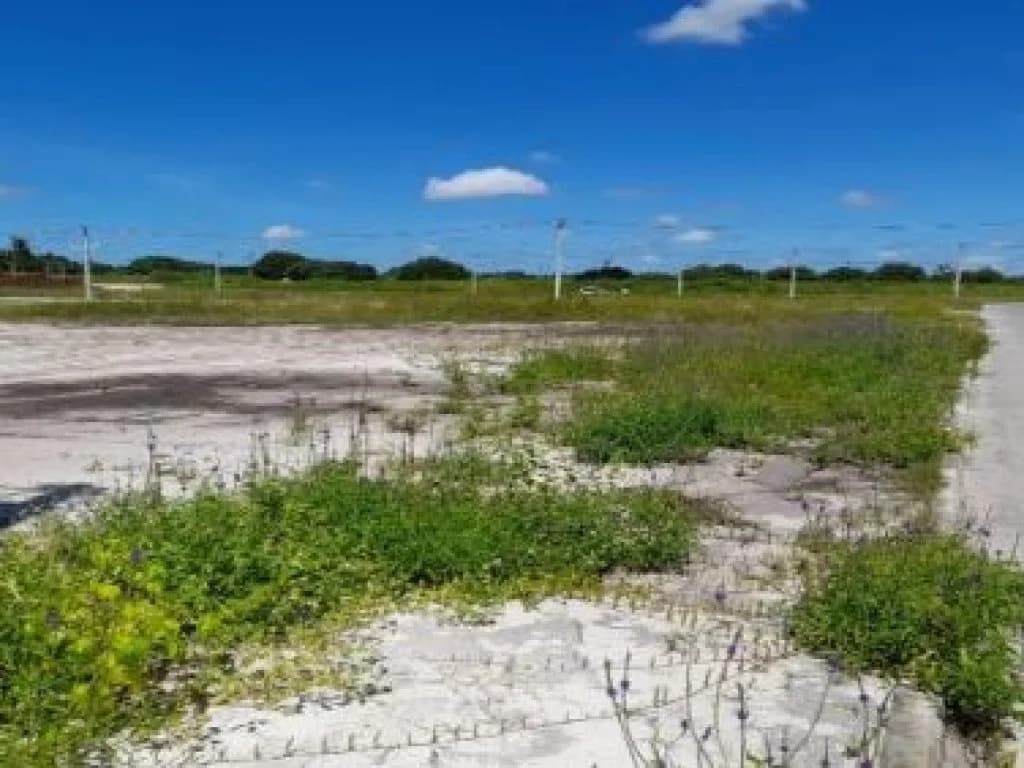 Foto 2 de 14: Terreno em leilão em Beberibe - CE, bairro Santa Eugenia — Área com 14.652 m² (Fazenda Mosquito) - Santa Eugenia - Beberibe - CE