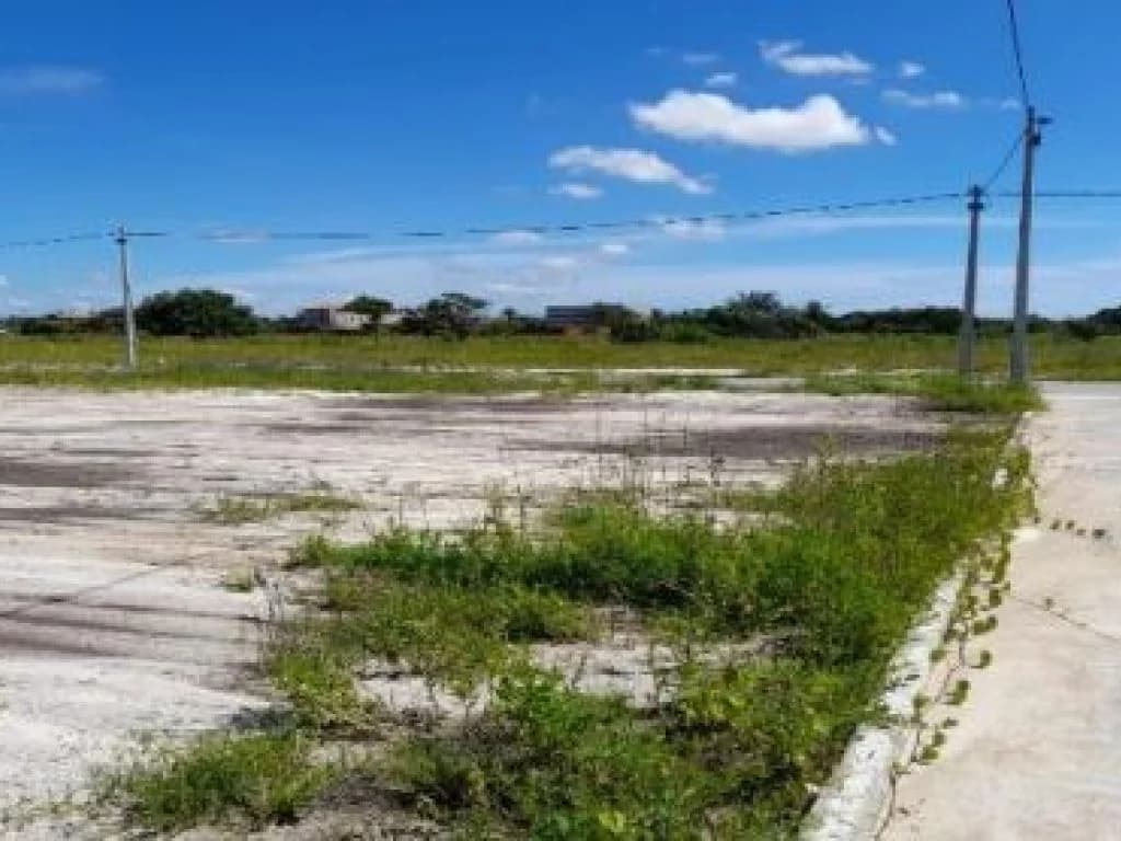Foto 13 de 14: Terreno em leilão em Beberibe - CE, bairro Santa Eugenia — Área com 14.652 m² (Fazenda Mosquito) - Santa Eugenia - Beberibe - CE