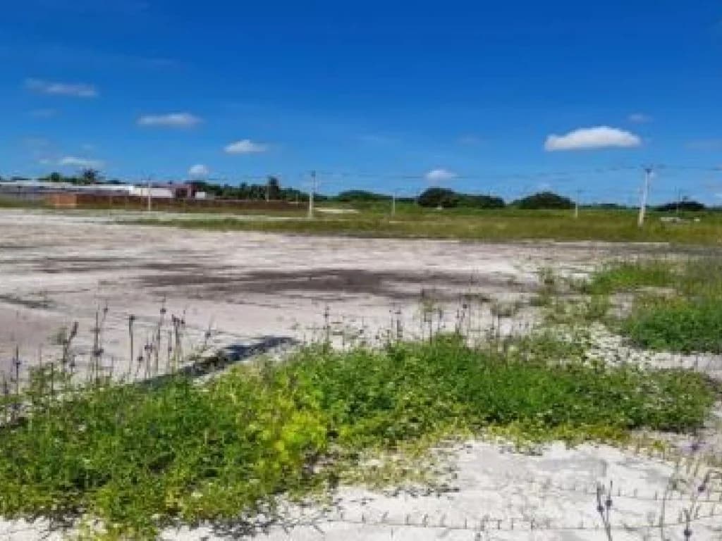Foto 14 de 14: Terreno em leilão em Beberibe - CE, bairro Santa Eugenia — Área com 14.652 m² (Fazenda Mosquito) - Santa Eugenia - Beberibe - CE