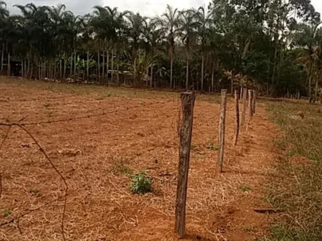 Foto 1 de 10: Terreno em leilão em Alexânia - GO, bairro Setor Nordeste — Terrenos 797 m² - Setor Nordeste - Alexânia - GO