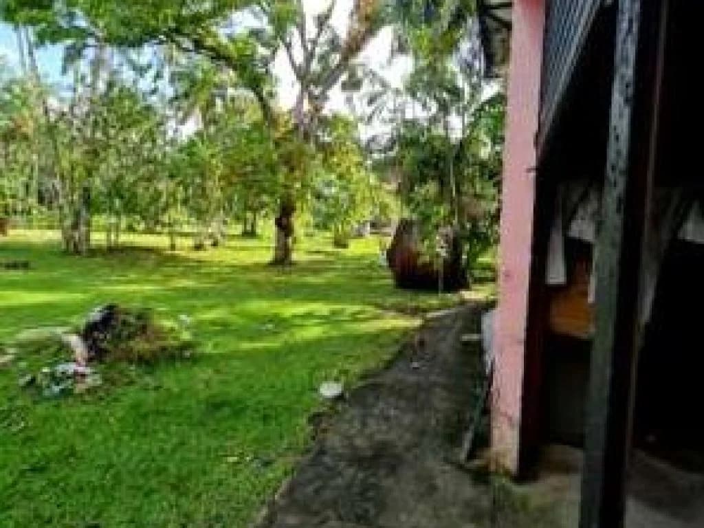 Foto 3 de 9: Terreno em leilão em Marituba - PA, bairro Centro — Área com 1,88 ha (com construções) - Centro - Marituba - PA