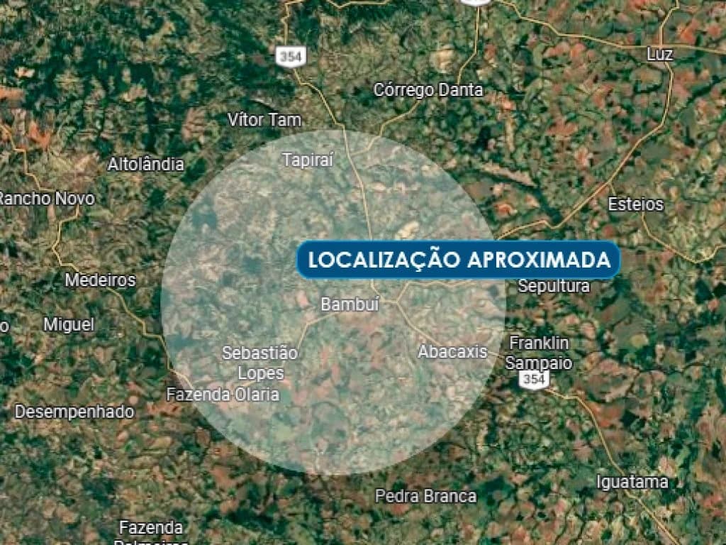 Area Rural em leilão em Bambuí - MG — Área 81 ha - Babuí - MG