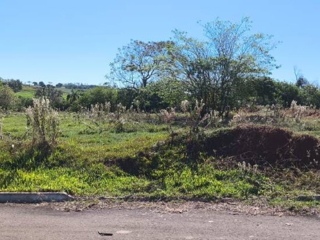 Foto 9 de 18: Terreno em leilão em Pérola - PR — Terreno 501 m² (Lt. 06 - Qd. 05) - Parque Residencial Viva - Pérola - PR