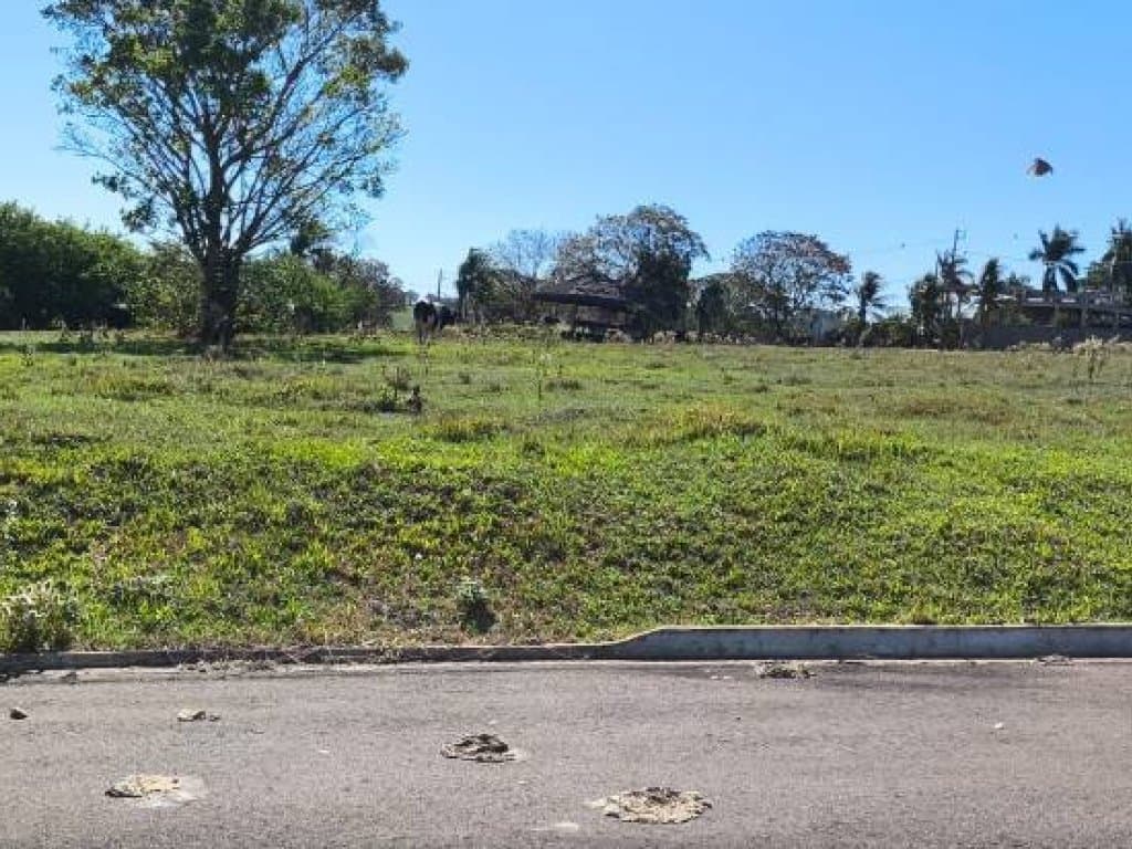 Foto 12 de 18: Terreno em leilão em Pérola - PR — Terreno 501 m² (Lt. 06 - Qd. 05) - Parque Residencial Viva - Pérola - PR