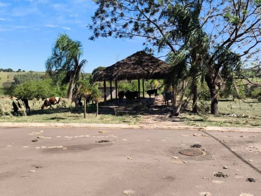 Foto 7 de 18: Terreno em leilão em Pérola - PR — Terreno 501 m² (Lt. 06 - Qd. 05) - Parque Residencial Viva - Pérola - PR