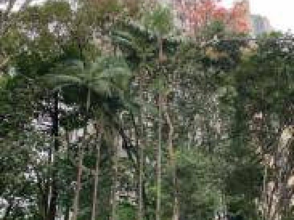 Foto 2 de 10: Apartamento em leilão em São Paulo - SP, bairro Morumbi — Apartamento 297 m² (Unid. 42) - Morumbi - São Paulo - SP