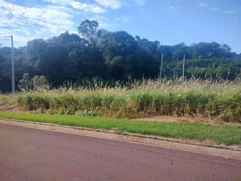 Foto 4 de 6: Terreno em leilão em Cafelândia - PR, bairro Centro — Terreno 352 m² (Lt. 01 - Qd. 20) - Centro - Cafelândia - PR