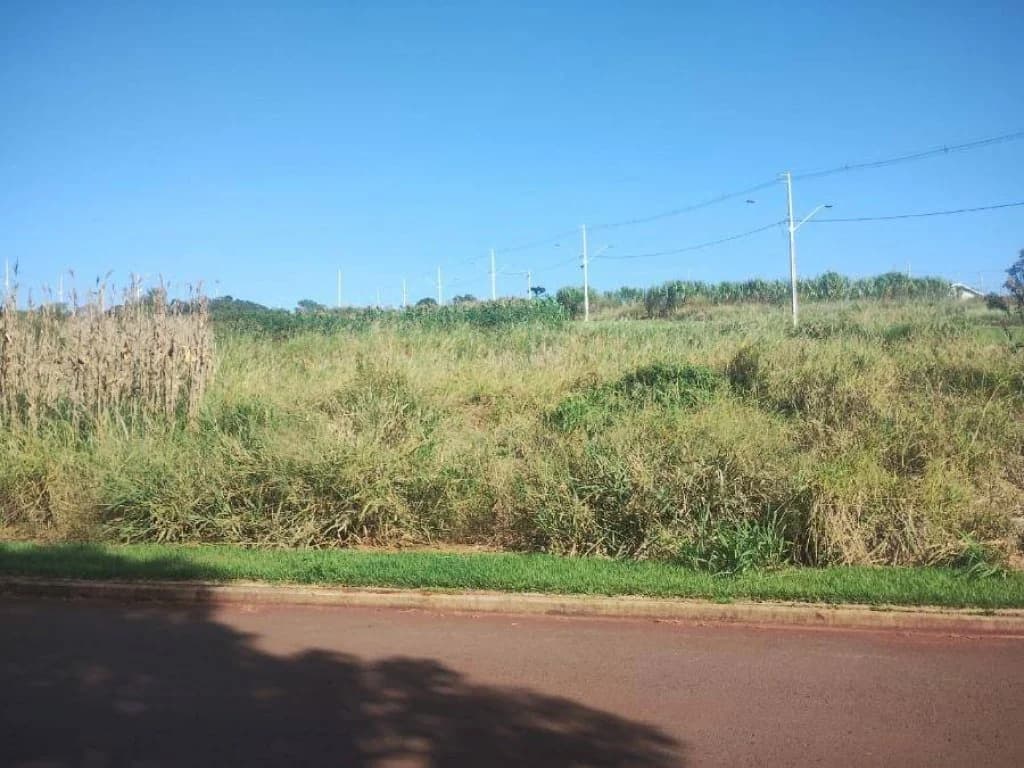 Foto 1 de 6: Terreno em leilão em Cafelândia - PR, bairro Centro — Terreno 352 m² (Lt. 01 - Qd. 20) - Centro - Cafelândia - PR
