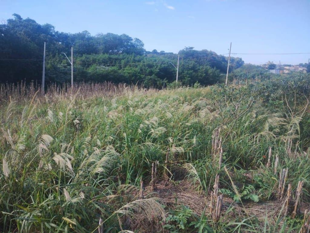 Foto 6 de 6: Terreno em leilão em Cafelândia - PR, bairro Centro — Terreno 352 m² (Lt. 01 - Qd. 20) - Centro - Cafelândia - PR