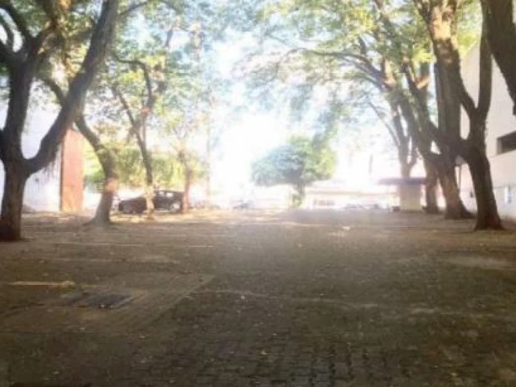 Foto 11 de 15: Comercial em leilão em Umuarama - PR, bairro Centro — Prédio Comercial 4.802 m² - Centro - Umuarama - PR
