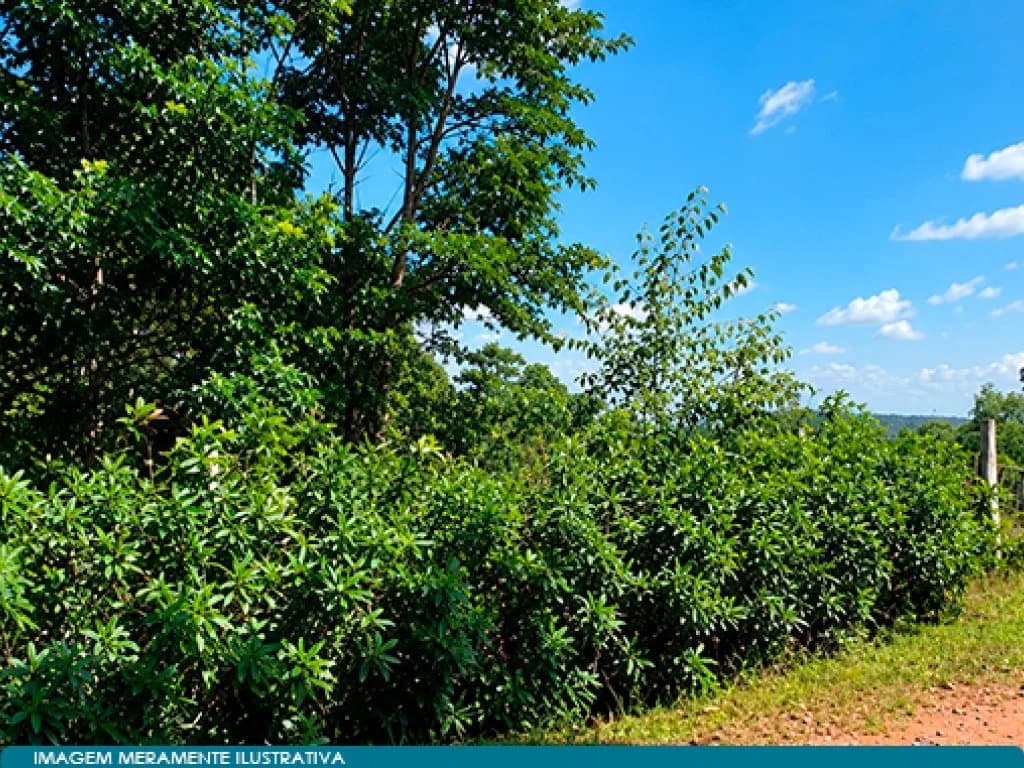 Foto 1 de 2: Terreno em leilão em São Roque - SP, bairro Santo Antônio — Área 33.221 m² (Sítio São José II) - Santo Antônio - São Roque - SP