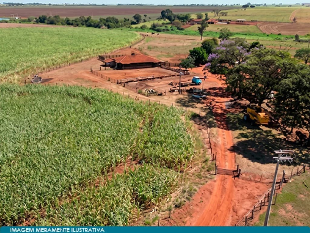 Foto 2 de 5: Area Rural em leilão em Guaíra - SP — Imóvel Rural 16 ha (Chácara Santa Quitéria) - Guaíra - SP