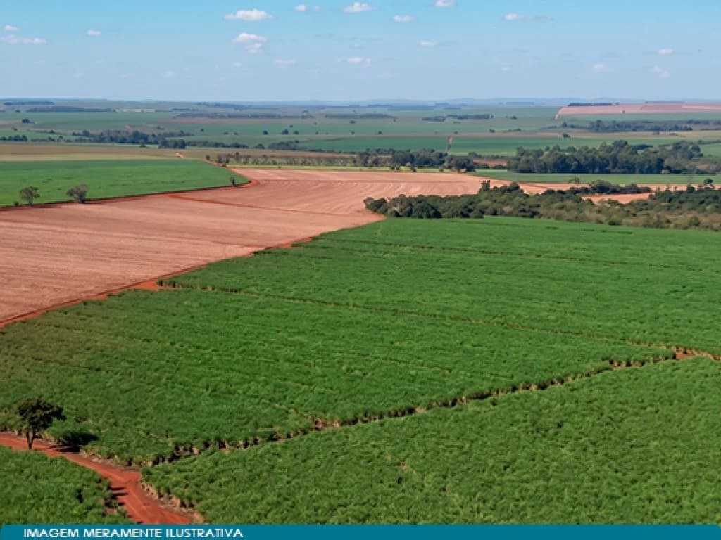 Foto 3 de 6: Area Rural em leilão em Guaíra - SP — Imóvel Rural 59 ha (Estância Palmital) - Guaíra - SP