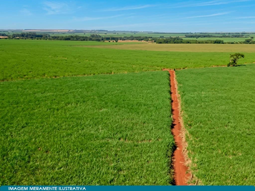 Foto 4 de 6: Area Rural em leilão em Guaíra - SP — Imóvel Rural 59 ha (Estância Palmital) - Guaíra - SP