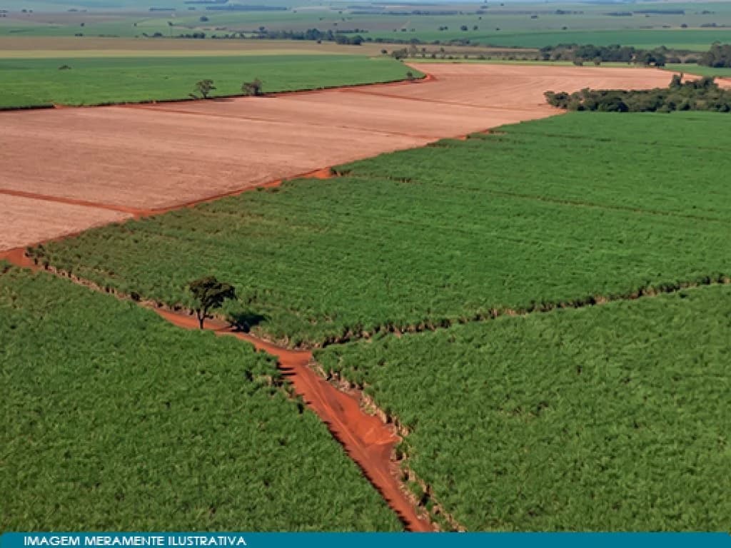 Foto 1 de 6: Area Rural em leilão em Guaíra - SP — Imóvel Rural 59 ha (Estância Palmital) - Guaíra - SP