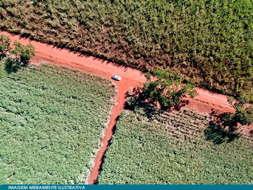 Foto 2 de 6: Area Rural em leilão em Guaíra - SP — Imóvel Rural 59 ha (Estância Palmital) - Guaíra - SP