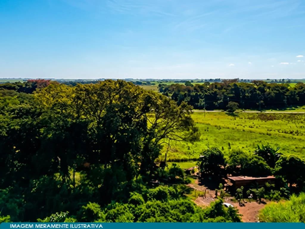 Foto 5 de 8: Area Rural em leilão em Guaíra - SP — Imóvel Rural 57 ha (Fazenda Santa Helena) - Guaíra - SP